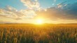 © UnderTheSun - A golden field stretches under a vibrant sky as the sun rises, casting warm light over the landscape and creating a serene atmosphere.
