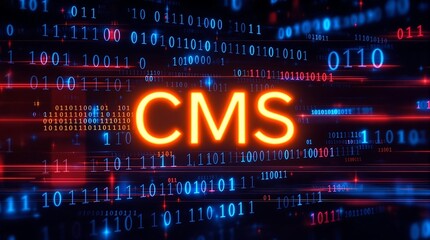 Wall Mural - binary code forming the letters cms representing content management system concept in digital techno