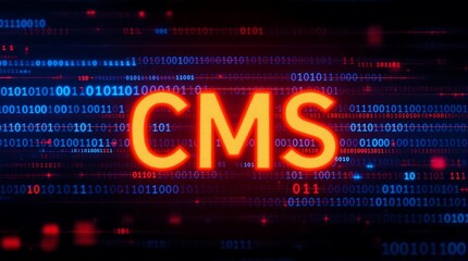 Wall Mural - binary code forming the letters cms representing content management system concept in digital techno