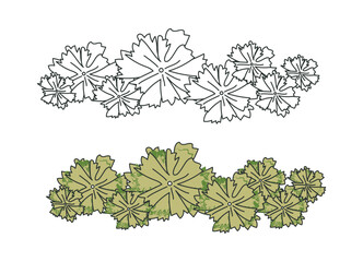 Group trees architectural top view. Bushes and trees with green leaves. Hand drawn sketch. Template for creating forests and gardens. Flat vector illustration
