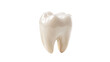 © PNG - The Ashtray In The Form Of A Tooth