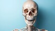 © Dulemegapixel - A photo showcasing a human skull with a joyful expression against a bright light-blue background, emphasizing the skeletal structure and smiling demeanor.