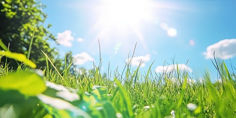 a bright, sunny background with a clear blue sky, gentle clouds, and green grass fields, capturing t