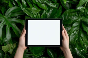 Poster - The image depicts a woman's hands holding a black tablet pc with a blank white desktop screen and a green background showing nature.