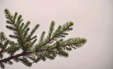 Poster - A tree branch with green leaves and a few brown tips. The branch is leaning to the right