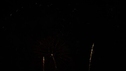 gold red blue green sparks scattering fireworks on the black night sky. general plan