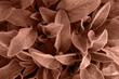 © Irina - Background from leaves close-up in Color of the year, 2025, mocha mousse,. Color of the year