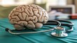© Santri - Anatomical brain model resting on a medical examination table beside a stethoscope.