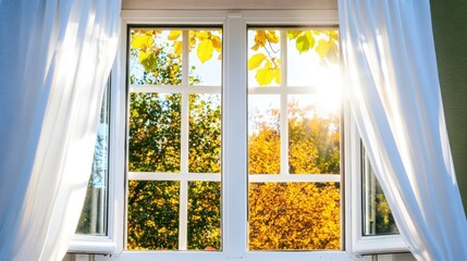 Wall Mural - autumn window view with sunlight streaming through sheer curtains.