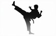 © Robertvt - Silhouette Of A Karate Practitioner At 5-12-2024