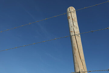 barbed wire on a fence