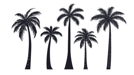 A set of detailed palm trees and coconut tree silhouette illustrations isolated on a transparent png background	