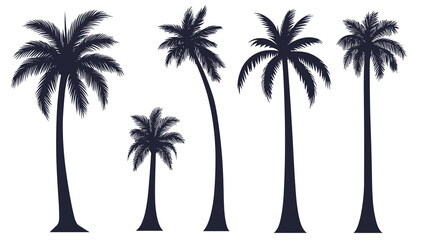 A set of detailed palm trees and coconut tree silhouette illustrations isolated on a transparent png background	