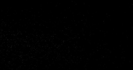 Wall Mural - Natural Organic Dust Particles Floating On Black Background. Dynamic Dust Particles Randomly Float In Space. Shimmering Glittering Dust Particles With Bokeh. Slow motion on Black Background.