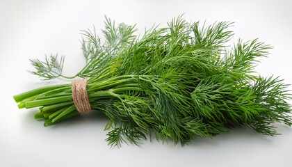 Sticker - Fresh dill herb bunch, tied with twine, on a white background.