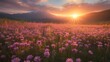 © huynh - Misty mountains rise in the distance as the sun rises, casting a warm glow on a vibrant field of pink and purple wildflowers in full bloom