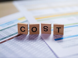 Poster - Cost management strategies for business success analyzing financial data in a professional setting