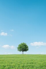 Wall Mural - Solitary Tree in Serene Meadow Under Clear Blue Sky