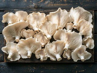 Wall Mural - Fresh, beautifully arranged mushrooms on a dark wooden surface, showcasing their unique textures and natural colors, ideal for culinary presentations.