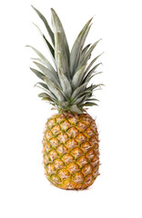 Wall Mural - A large pineapple sits on a white background