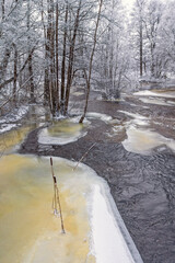 Sticker - Ice on the river beach in a forest with hoarfrost a cold winter day