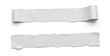© dapra01 - Two torn gray ripped paper isolated on white background