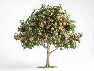 Canvas Print - tree with apples