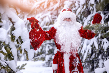 Portrait Happy Santa Claus or Father Frost with red bag of gifts in snowy forest with Christmas tree