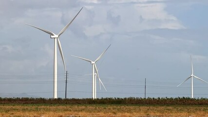 Poster - Scenic view of a field of windmills under a blue sunny day