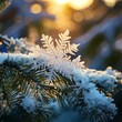 © Benjaporn - Intricate Snowflakes on Evergreen Branches at Winter Sunrise