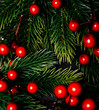 © hitdelight - Christmas background with fir tree and red berries decoration. New year background frame for holiday wish list post.
