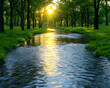 © Mohan - Sunlit stream flows through lush green forest.