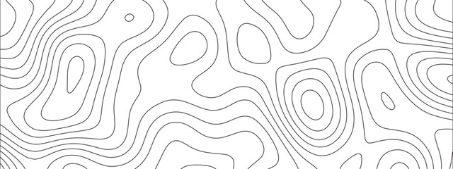 Leinwandbilder - Abstract luxury white modern 3d papercut background. Topography line circle creative topography map circle and wave line. Topography and geography map grid backdrop. 