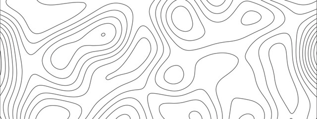 Leinwandbilder - Abstract luxury white modern 3d papercut background. Topography line circle creative topography map circle and wave line. Topography and geography map grid backdrop. 