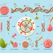 © deep breath - Gene expression illustrations Show the process of gene expressio