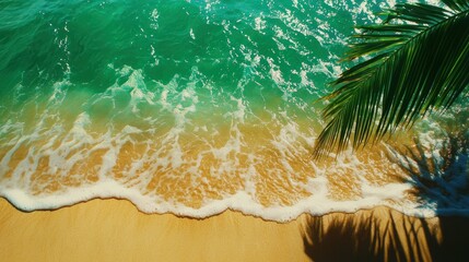 Wall Mural - a tranquil beach scene featuring gentle waves lapping against golden sand, with clear turquoise wate