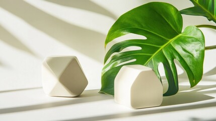 Aufkleber - Two geometric white objects beside a large green leaf, casting shadows on a light surface.