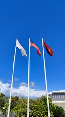 flags of samoa in the wind with blue skies in the backgriund