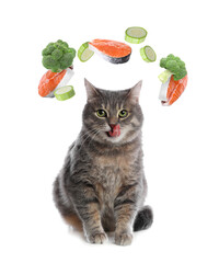 Wall Mural - Cute cat surrounded by flying vegetables and raw salmon steaks on white background. Natural pet food