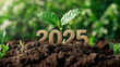© OHMAl2T - Sustainable future growing hope for 2025 in nature's embrace