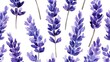 © AlfaSmart - Delicate Watercolor Lavender Pattern Design