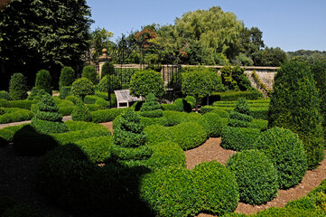 Topiary border at Country House garden