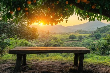 Wall Mural - Wooden bench under orange tree at sunset overlooking green valley