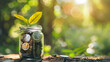 © Muzamilart - glass jar with coins and lettering on wooden table and green background