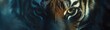 © Lycee - Majestic Tiger Close Up Reveals Powerful Eyes