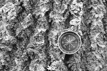 Wall Mural - classic navigation compass on natural background