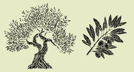 Hand draw olive tree and branch with berries isolated on white background. Set of vector illustration in engraving vintage style.