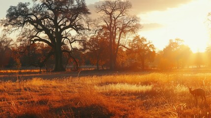 Wall Mural - Abstract warm landscape of dry wildflower and grass meadow on warm golden hour sunset or sunrise time. Tranquil autumn fall nature field background. Soft golden hour sunlight panoramic countryside 