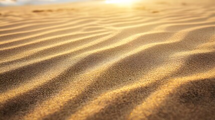  An endless desert sand stretching out into the golden dawn