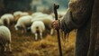 © ThisDesign - hand of a shepherd holding a staff, sheep grazing in the background, generative ai